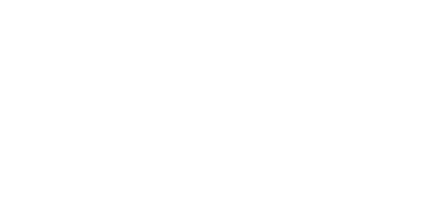 VelOps · Always ahead